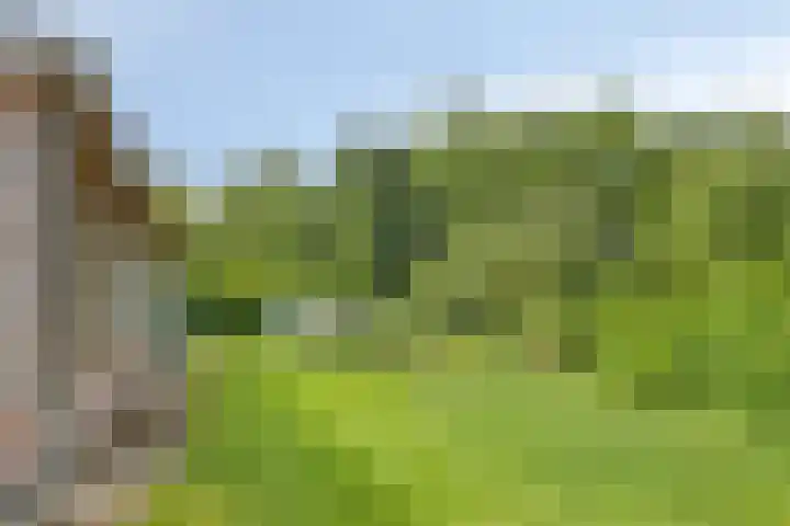 Kanaal O.Z. 9 Tiendeveen thumbnail 49