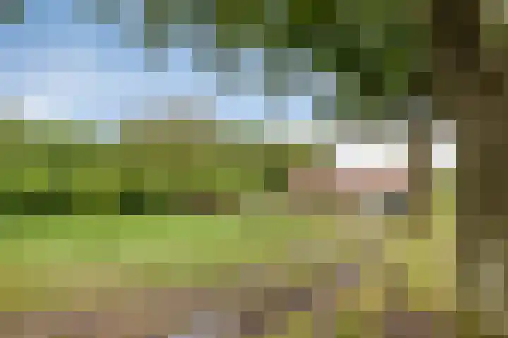 Kanaal O.Z. 9 Tiendeveen thumbnail 50