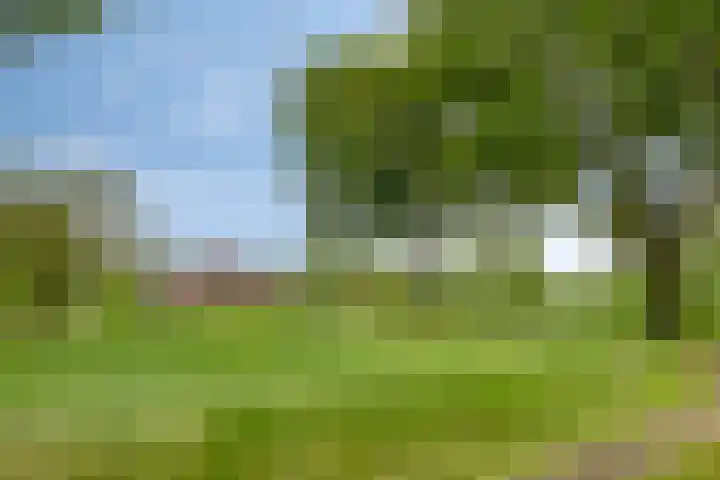 Kanaal O.Z. 9 Tiendeveen thumbnail 51