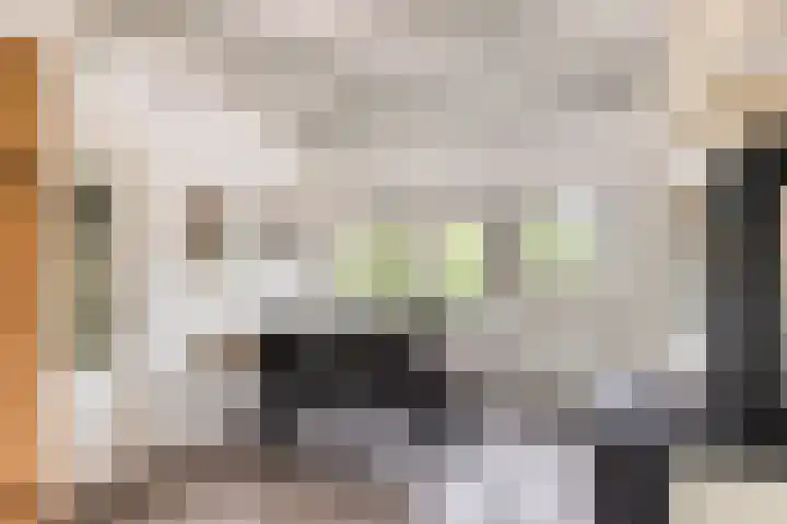 Kanaal O.Z. 9 Tiendeveen thumbnail 7