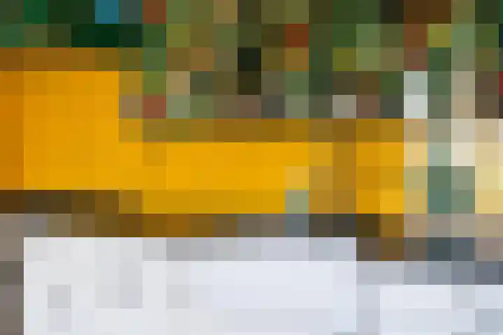 Kanaal W.Z. 30 Tiendeveen thumbnail 10
