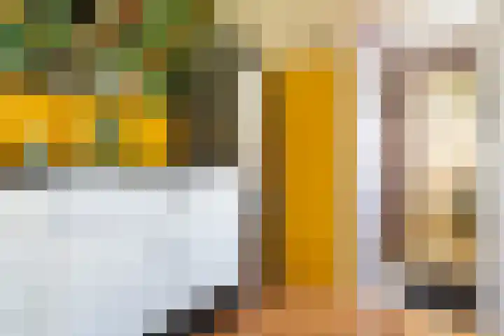 Kanaal W.Z. 30 Tiendeveen thumbnail 11