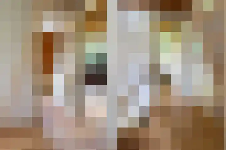 Kanaal W.Z. 30 Tiendeveen thumbnail 13