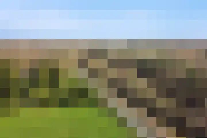 Kanaal W.Z. 30 Tiendeveen thumbnail 17