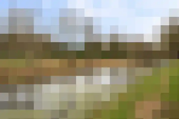 Kanaal W.Z. 30 Tiendeveen thumbnail 22