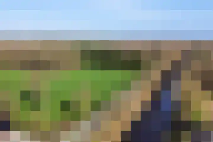 Kanaal W.Z. 30 Tiendeveen thumbnail 24