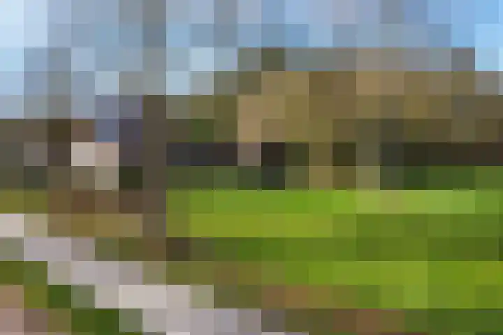 Kanaal W.Z. 30 Tiendeveen thumbnail 25