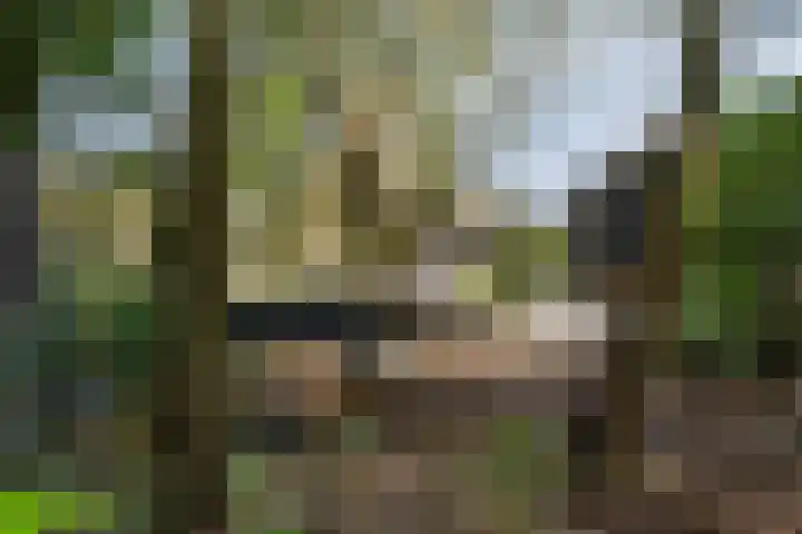 Kanaal W.Z. 30 Tiendeveen thumbnail 30