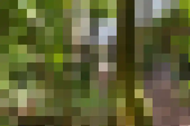 Kanaal W.Z. 30 Tiendeveen thumbnail 31