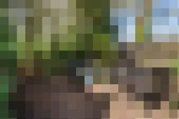 Kanaal W.Z. 30 Tiendeveen thumbnail 32