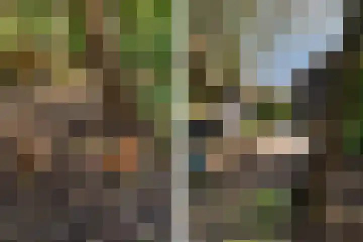 Kanaal W.Z. 30 Tiendeveen thumbnail 33