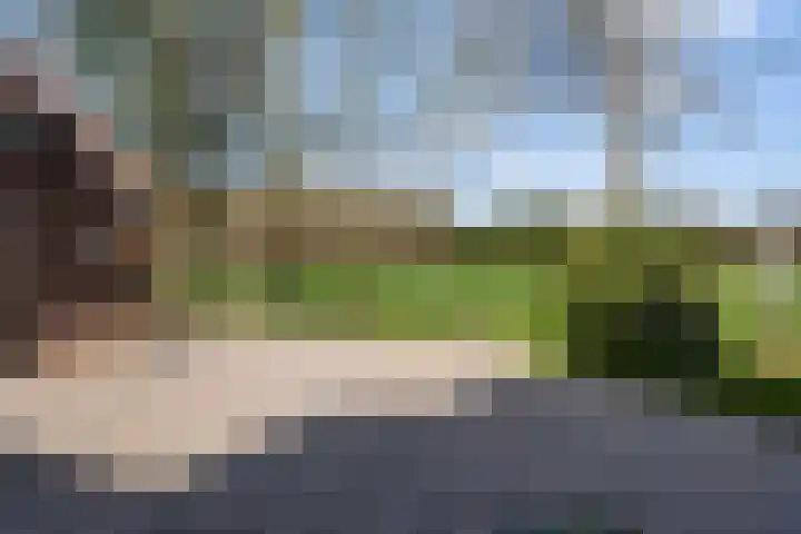 Kanaal W.Z. 30 Tiendeveen thumbnail 34