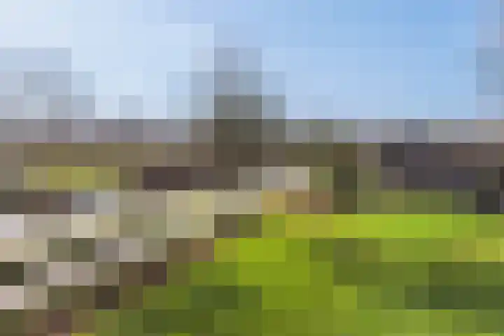 Kanaal W.Z. 30 Tiendeveen thumbnail 38
