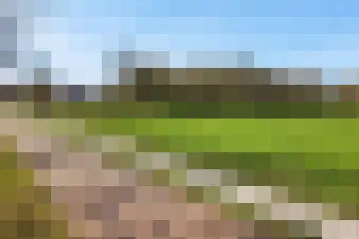 Kanaal W.Z. 30 Tiendeveen thumbnail 39