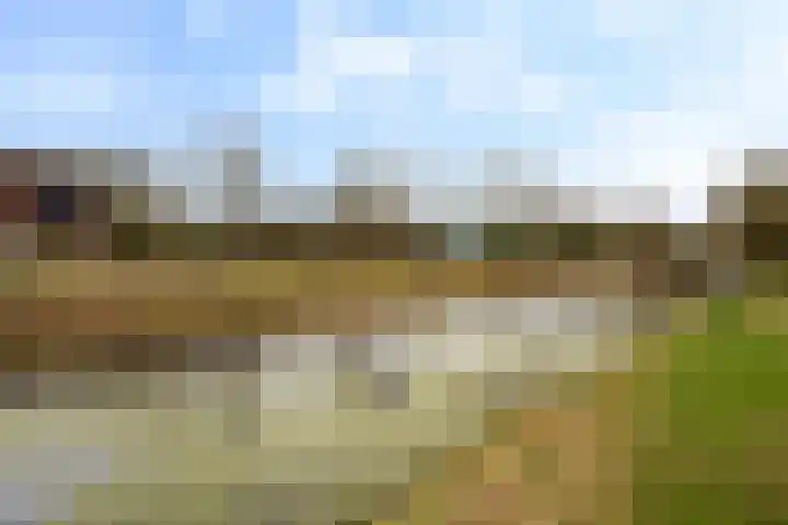 Kanaal W.Z. 30 Tiendeveen thumbnail 40
