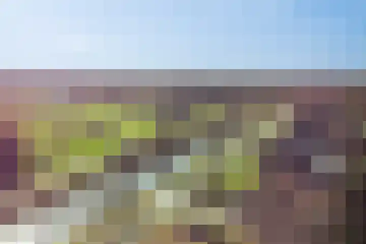 Kanaal W.Z. 30 Tiendeveen thumbnail 41