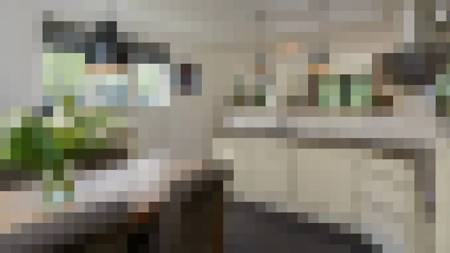Kanaal Zuid 369 A Klarenbeek thumbnail 13