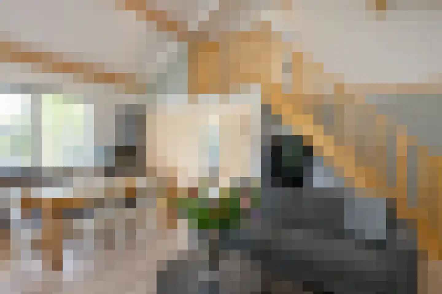 Kanaal Zuid 369 A Klarenbeek thumbnail 25