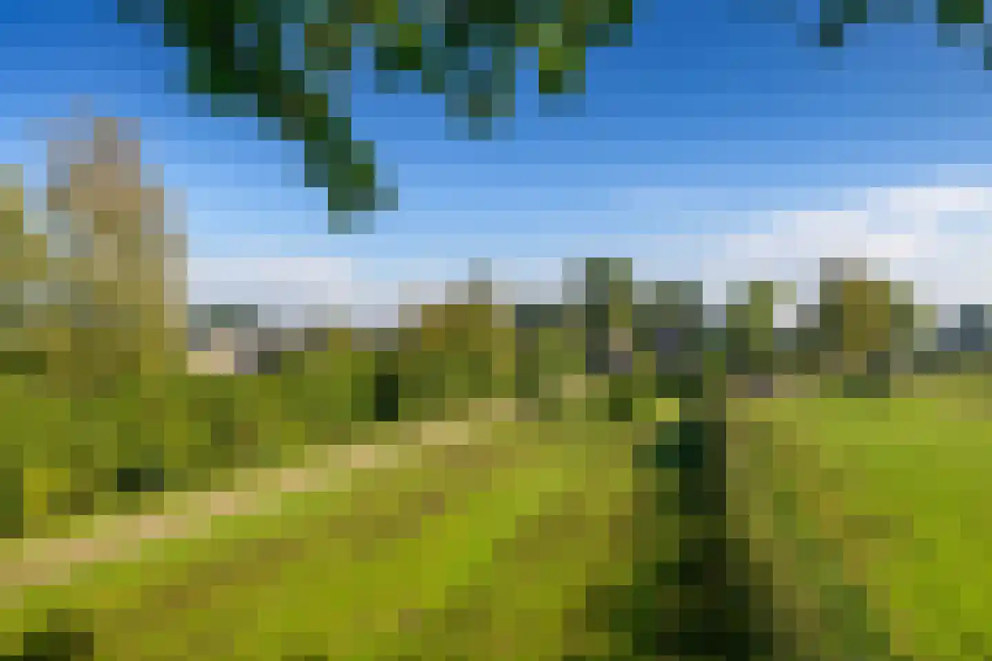 Kanaal Zuid 369 A Klarenbeek thumbnail 35