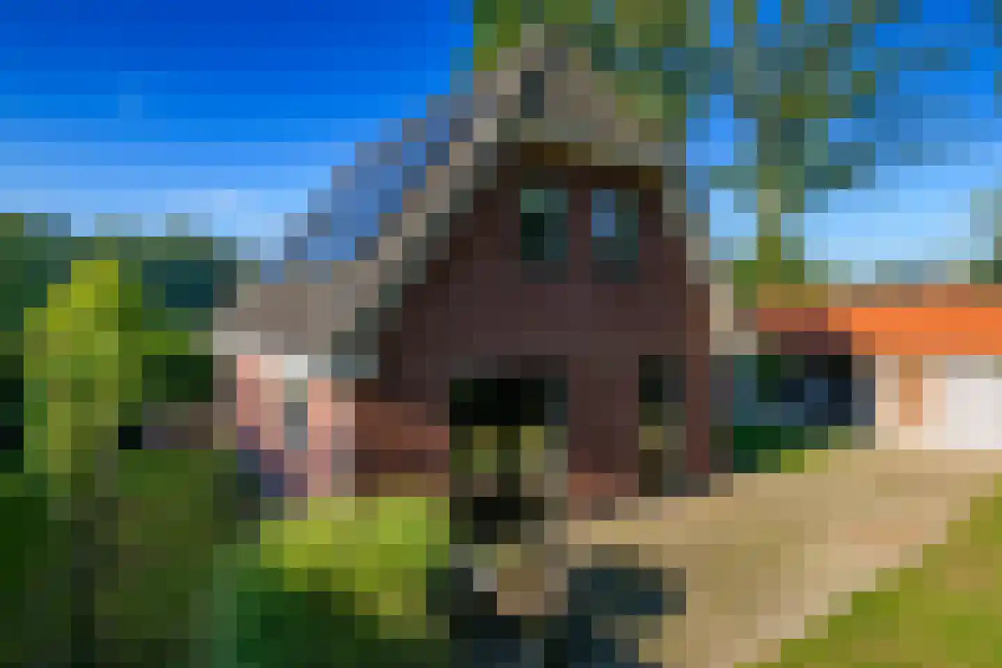 Kanaal Zuid 369 A Klarenbeek thumbnail 43