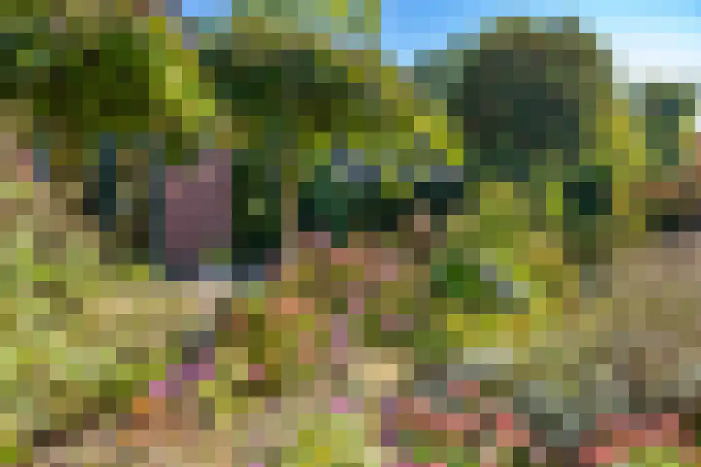 Kanaal Zuid 369 A Klarenbeek thumbnail 49