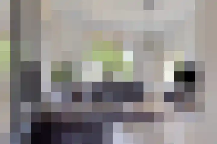 Kanaal Zuid 42 Apeldoorn thumbnail 5