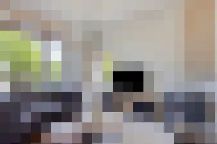 Kanaal Zuid 42 Apeldoorn thumbnail 6