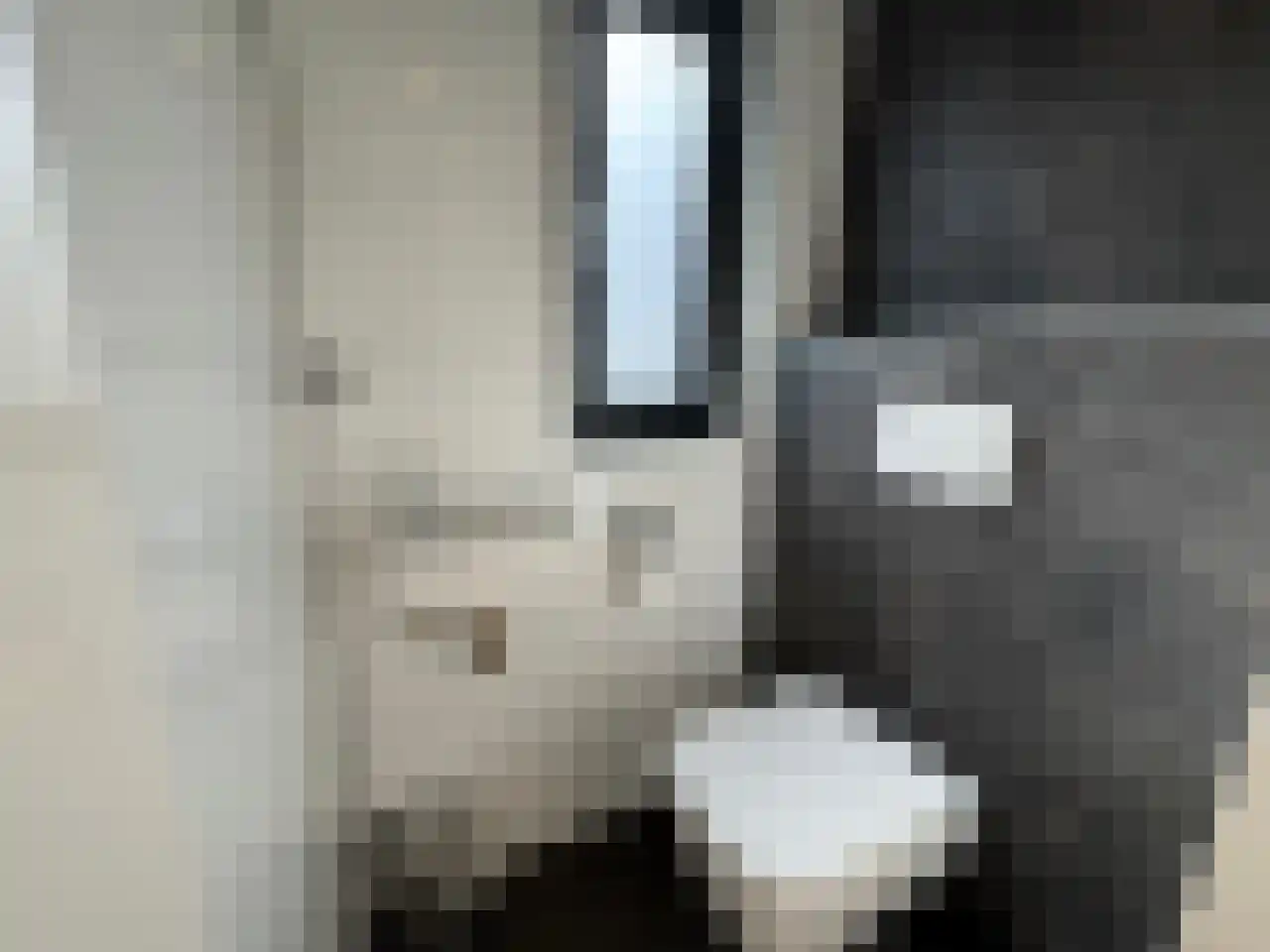 Kanaal Zuid 444 342 Lieren thumbnail 11