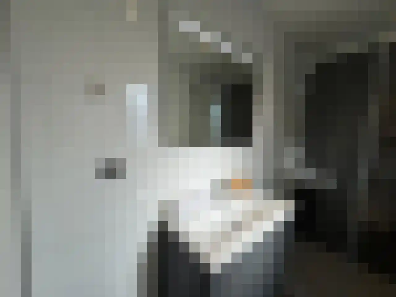 Kanaal Zuid 444 342 Lieren thumbnail 13