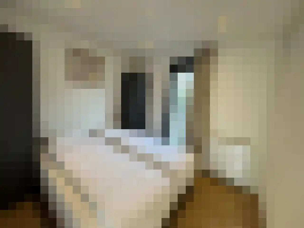 Kanaal Zuid 444 342 Lieren thumbnail 14