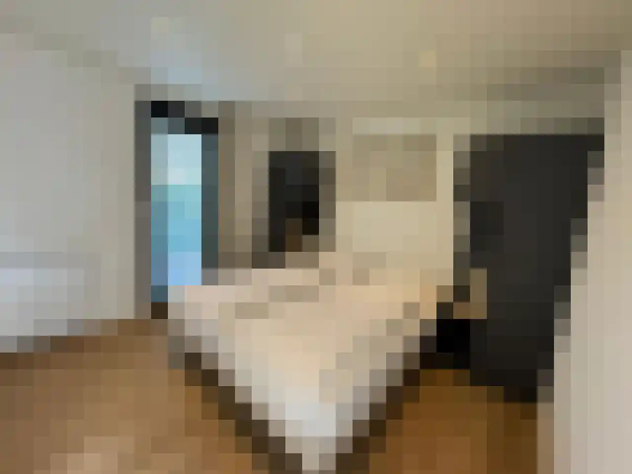 Kanaal Zuid 444 342 Lieren thumbnail 15