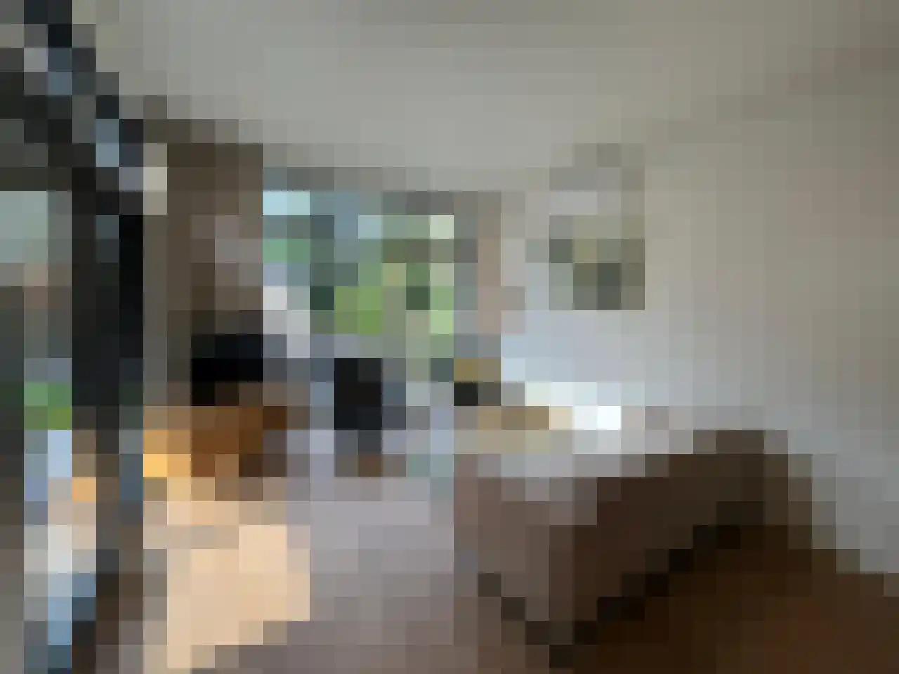 Kanaal Zuid 444 342 Lieren thumbnail 8