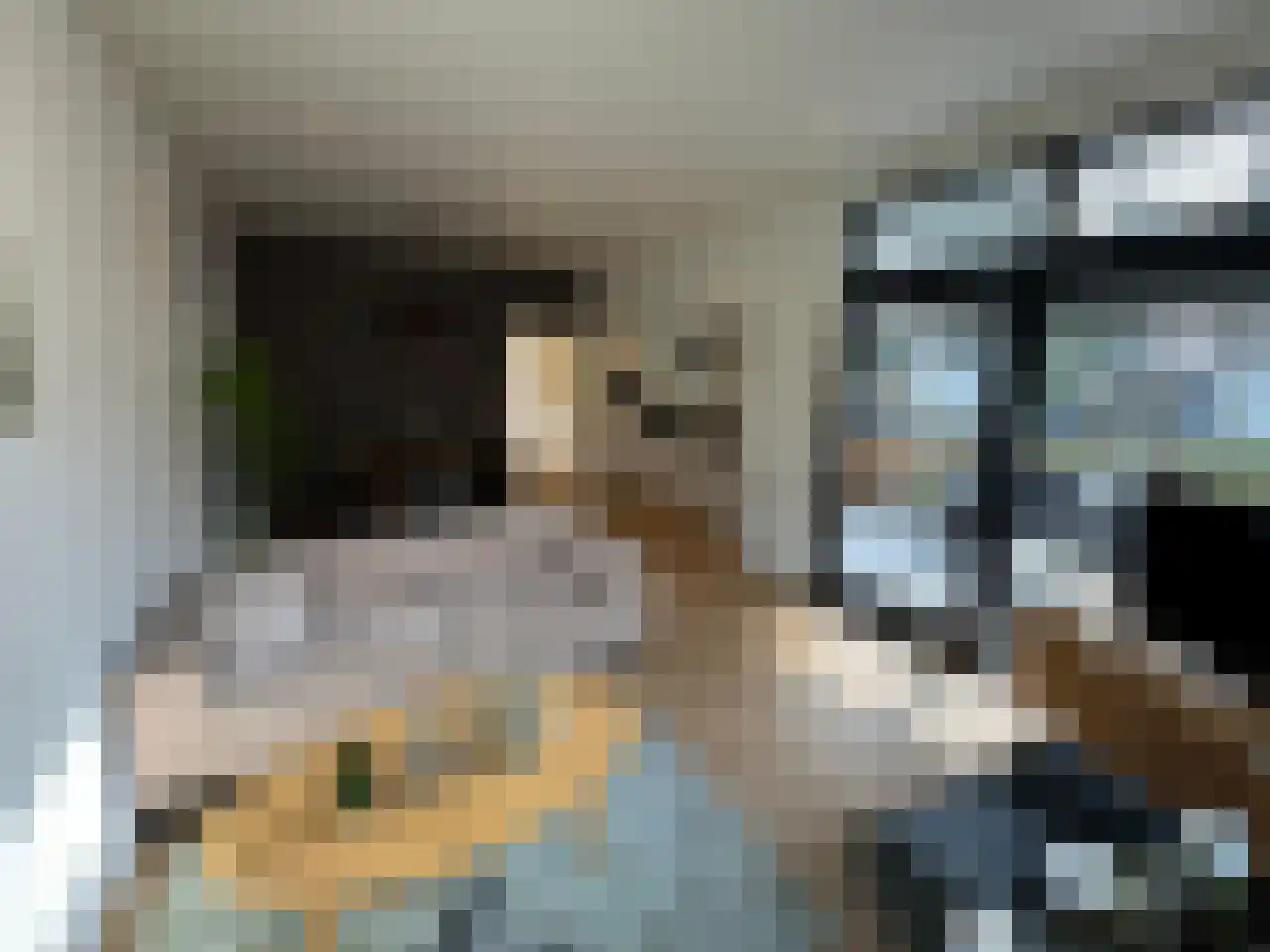 Kanaal Zuid 444 342 Lieren thumbnail 9