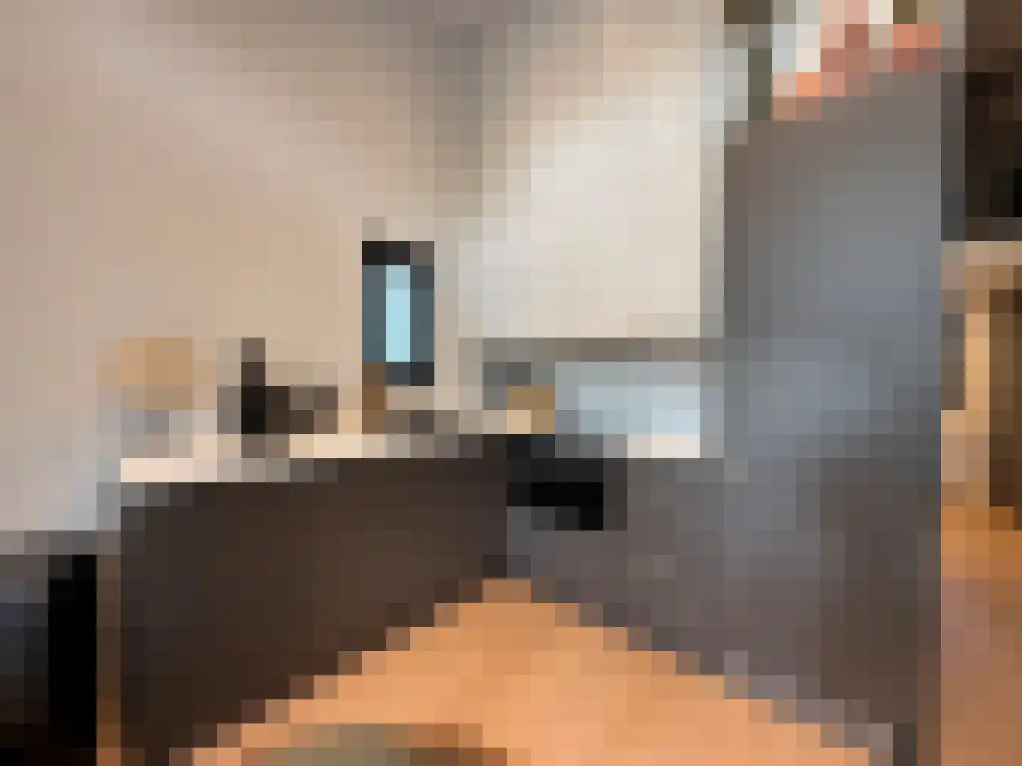 Kanaal Zuid 444 570 Lieren thumbnail 11