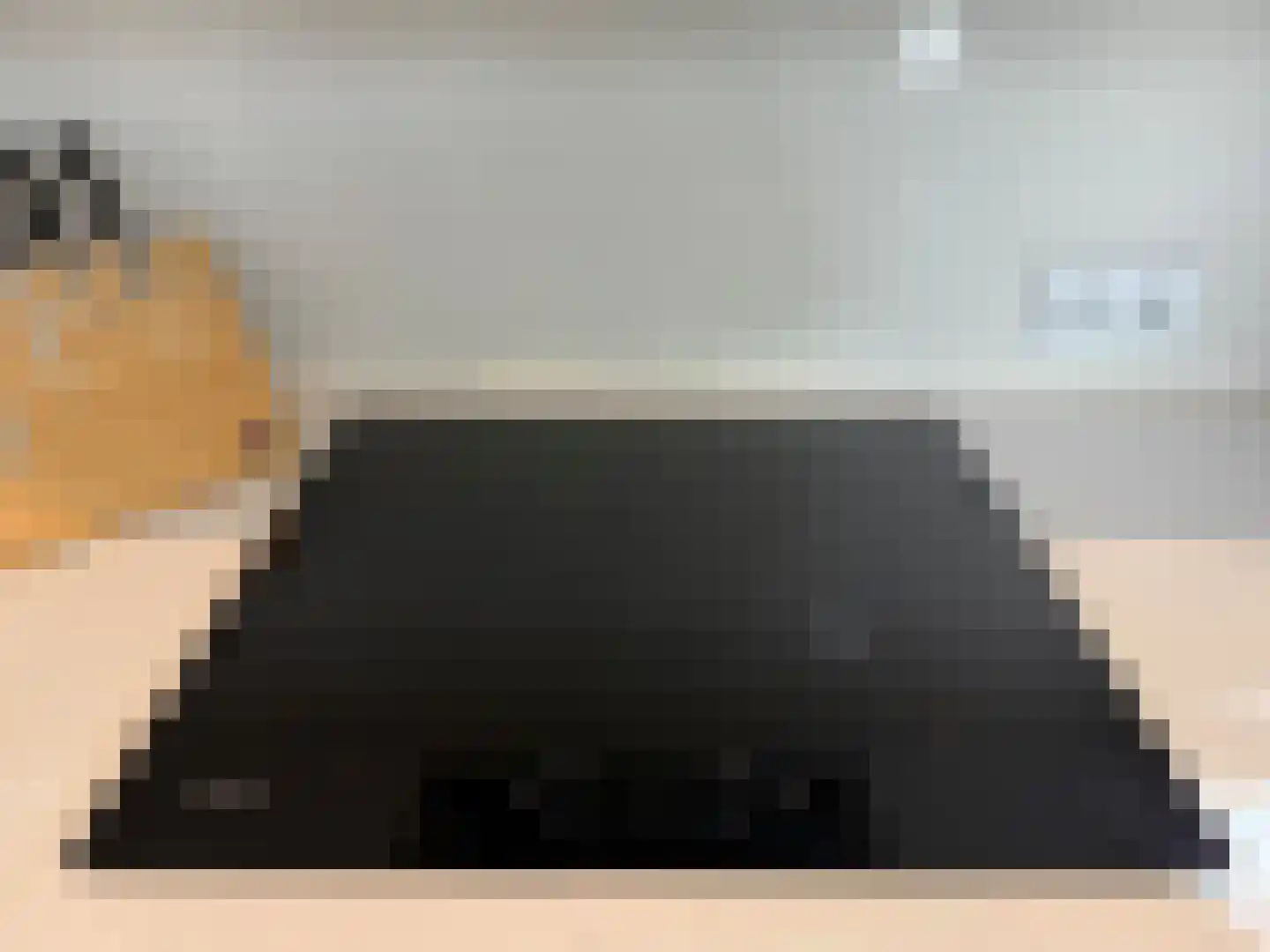 Kanaal Zuid 444 570 Lieren thumbnail 14