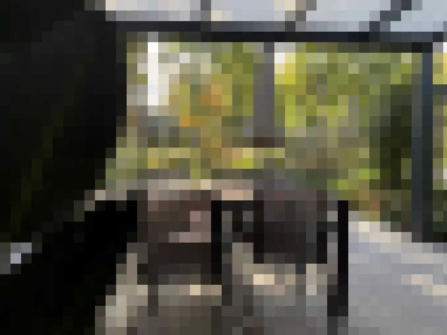 Kanaal Zuid 444 570 Lieren thumbnail 25
