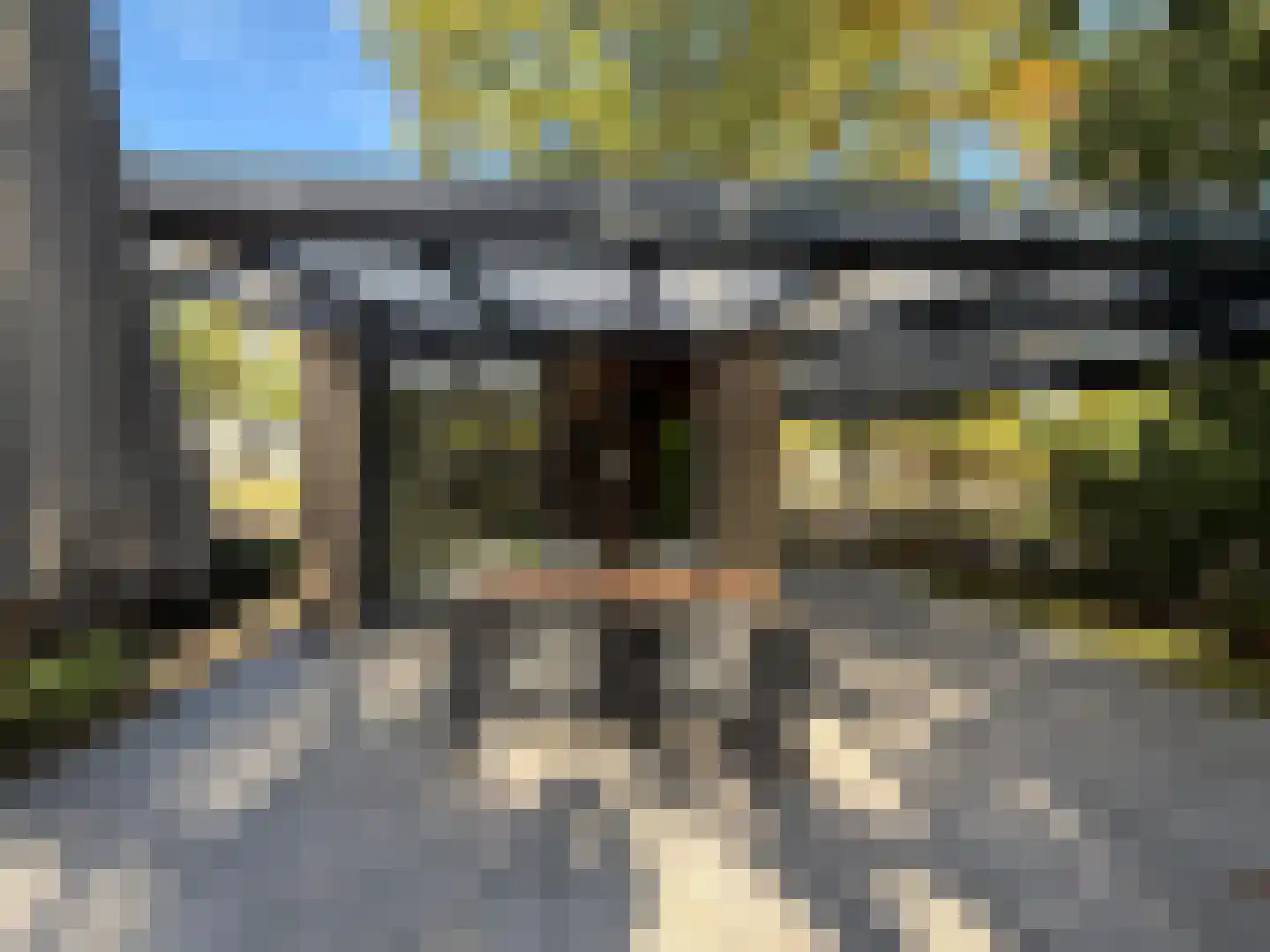 Kanaal Zuid 444 570 Lieren thumbnail 26