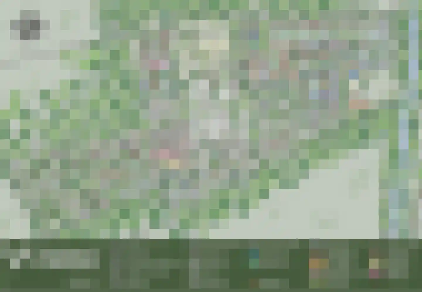 Kanaal Zuid 444 570 Lieren thumbnail 27