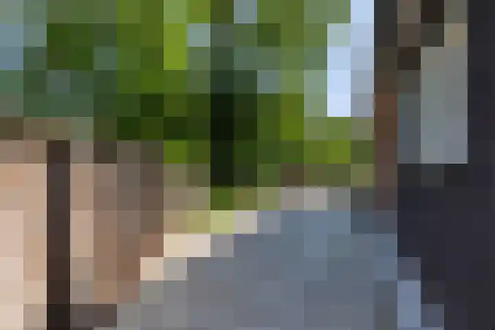 Kanaal Zuid 50 Apeldoorn thumbnail 20