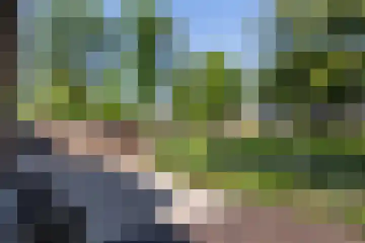 Kanaal Zuid 50 Apeldoorn thumbnail 21