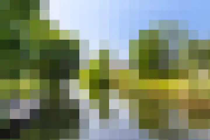 Kanaal Zuid 50 Apeldoorn thumbnail 40