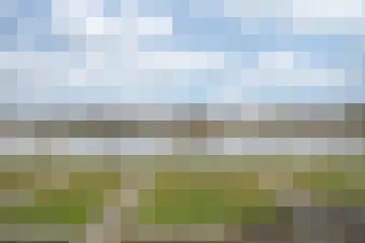 Kanaalboulevard 27 Urmond thumbnail 26