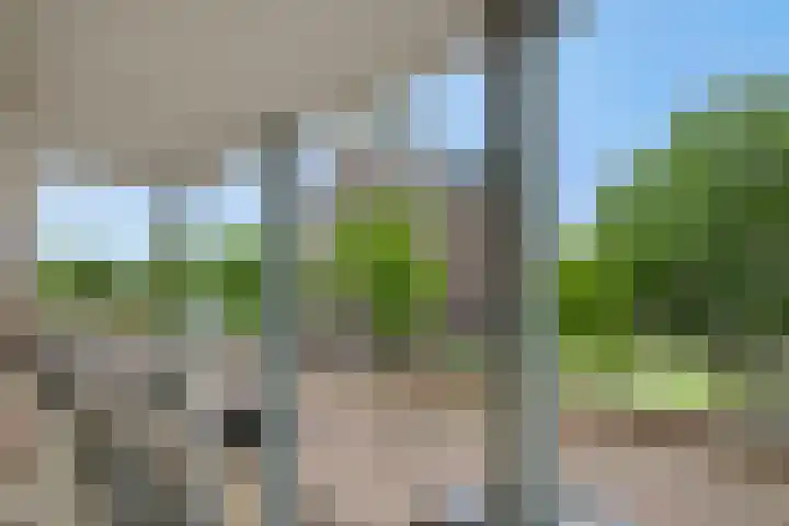 Kanaalboulevard 60 Helmond thumbnail 38