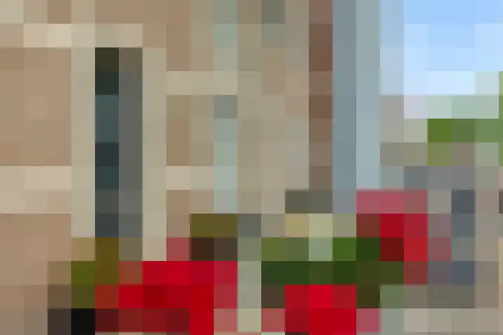 Kanaalboulevard 60 Helmond thumbnail 5