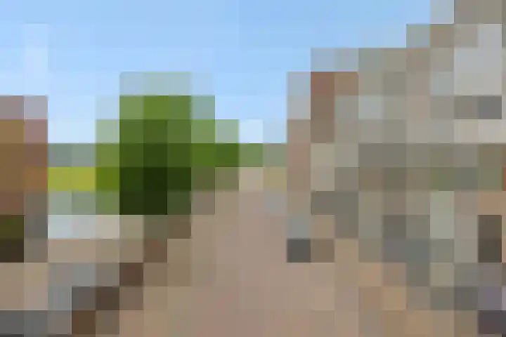 Kanaalboulevard 60 Helmond thumbnail 8