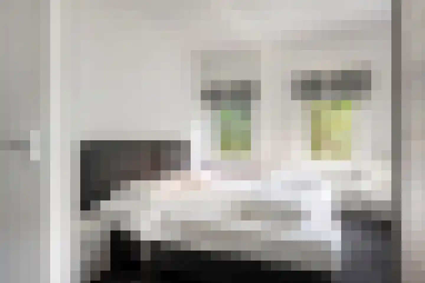 Kanaaldijk 100 Ossenisse thumbnail 20