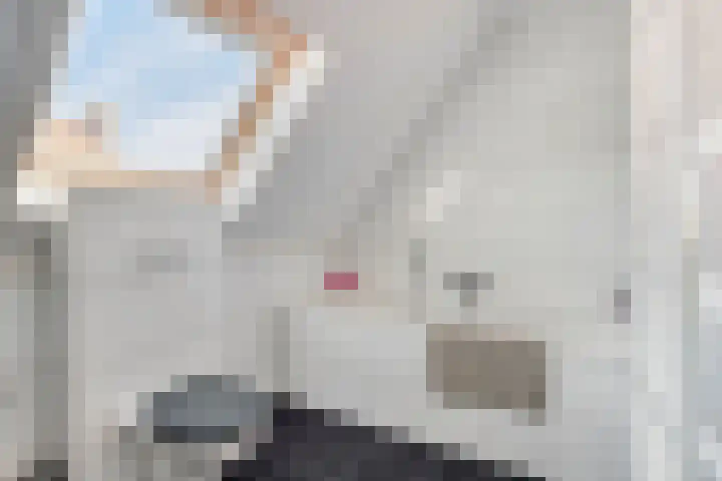 Kanaaldijk 100 Ossenisse thumbnail 22