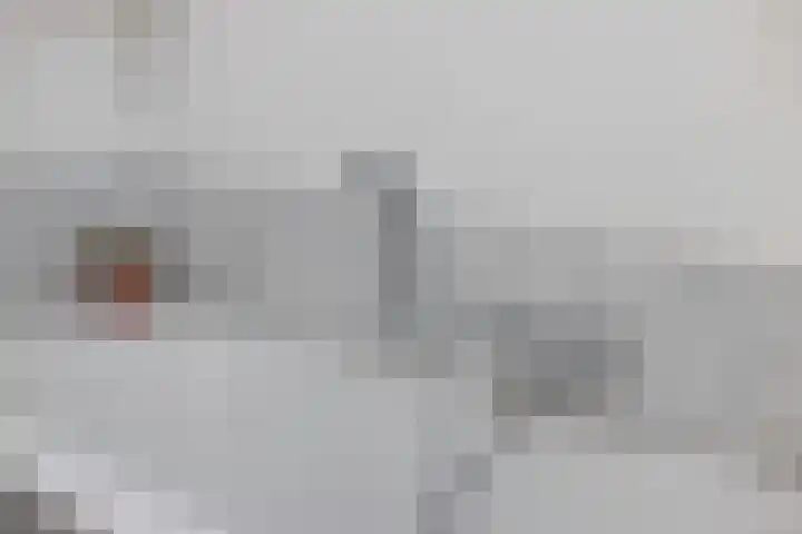 Kanaaldijk 104 Landsmeer thumbnail 34
