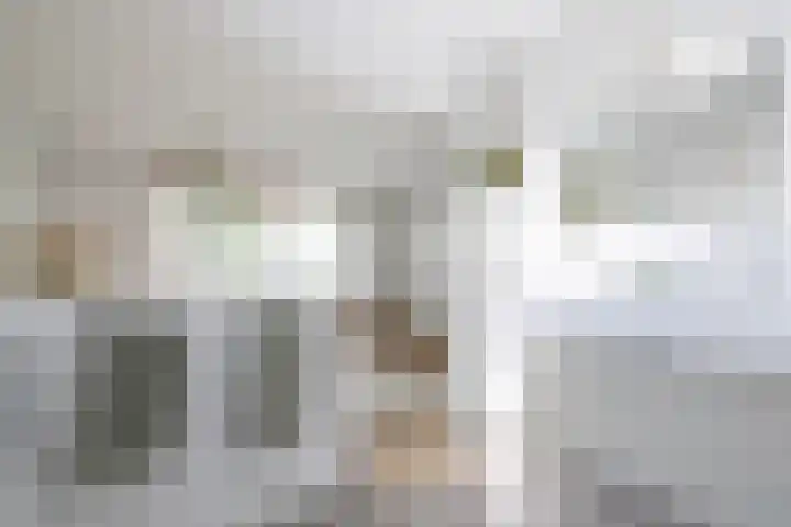 Kanaaldijk 104 Landsmeer thumbnail 35