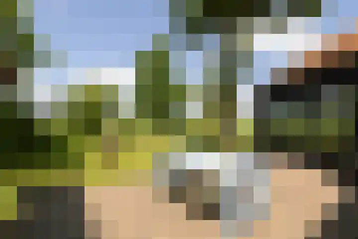 Kanaaldijk 104 Landsmeer thumbnail 53